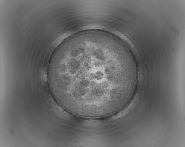 X0000110980929200907022052