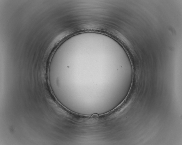 X0000110980930200907022052