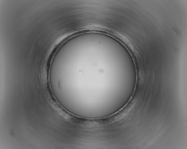 X0000110980931200907022052