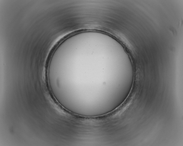 X0000110980932200907022053