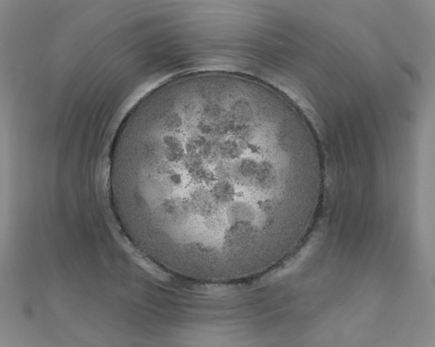 X0000110980933200907022053