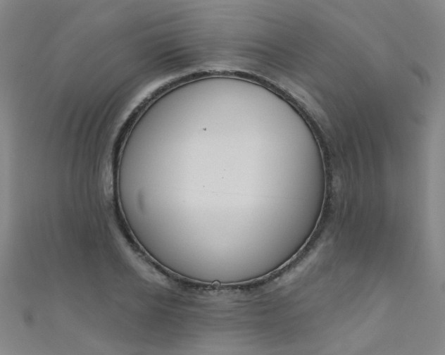 X0000110980934200907022053