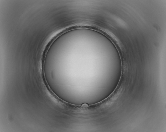 X0000110980935200907022053