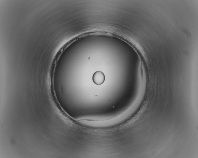 X0000110980936200907022053