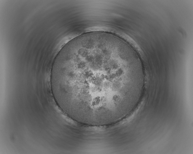 X0000110980937200907022053