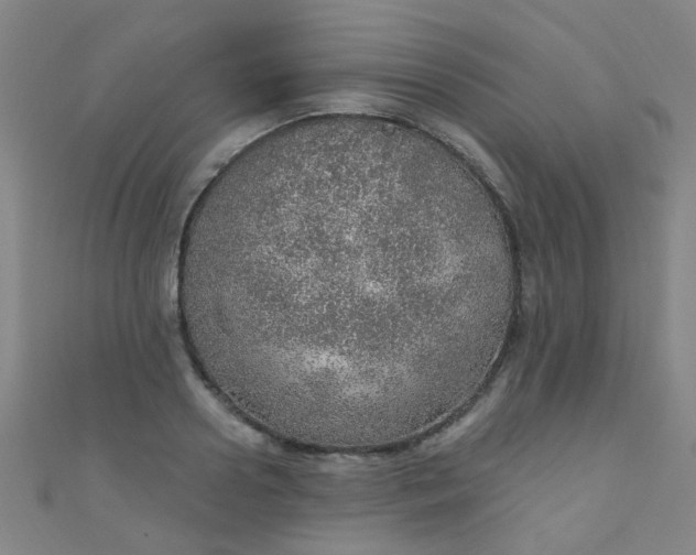 X0000110980938200907022053