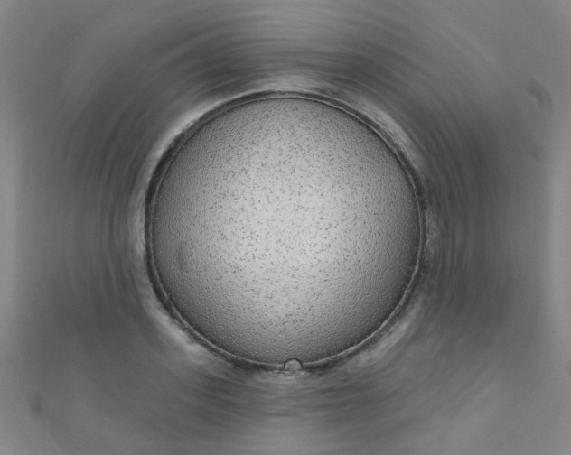 X0000110980939200907022053