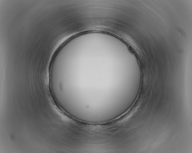 X0000110980940200907022053