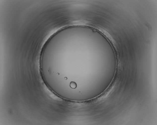 X0000110980941200907022053