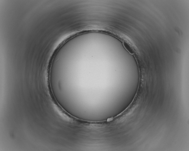 X0000110980942200907022053