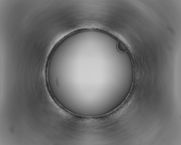 X0000110980943200907022053