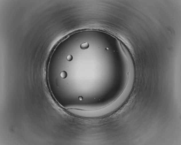 X0000110980944200907022053