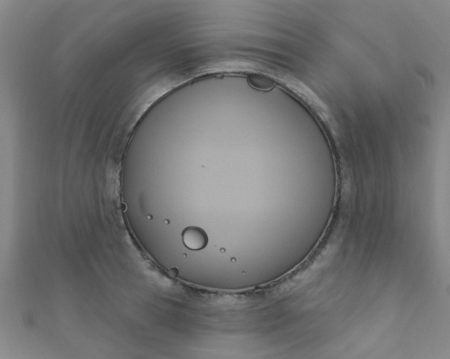 X0000110980945200907022053