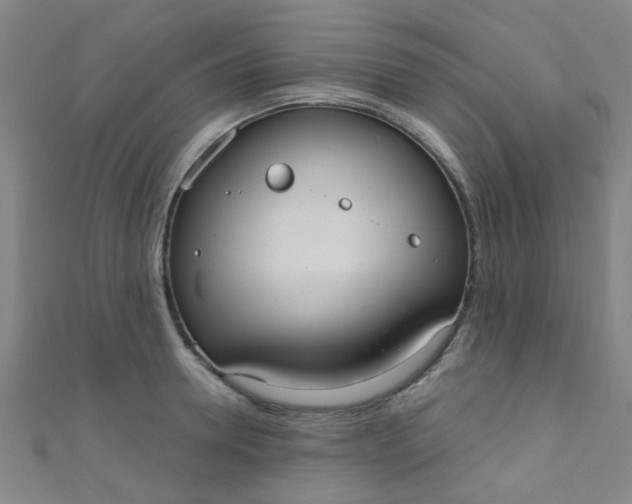 X0000110980946200907022053