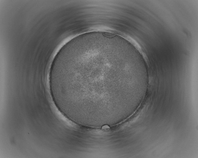 X0000110980947200907022053