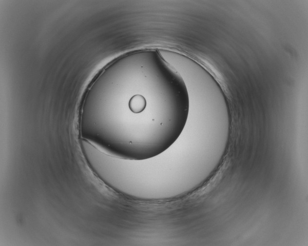 X0000110980948200907022053