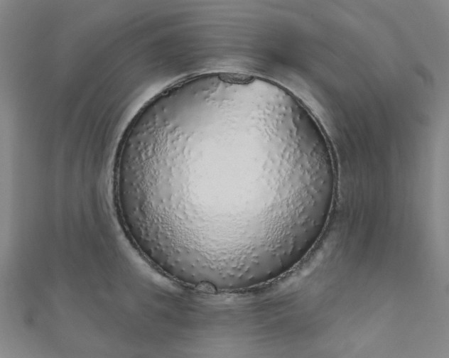 X0000110980949200907022053