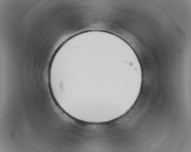 X0000110980950200907022053