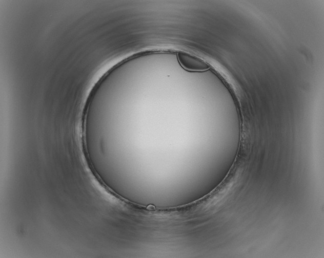 X0000110980951200907022053