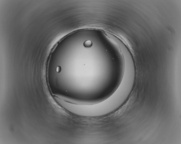 X0000110980952200907022053