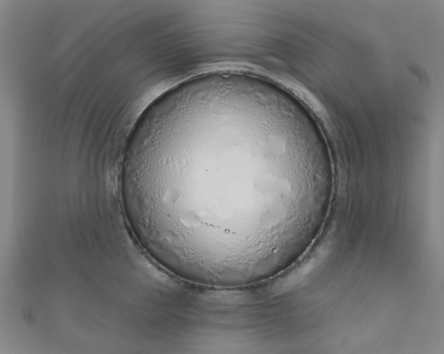 X0000110980953200907022053