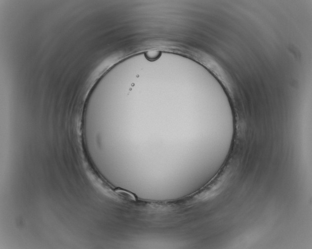 X0000110980954200907022053