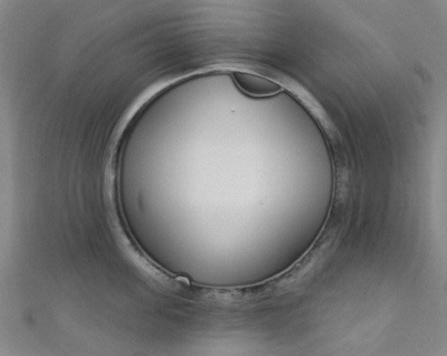 X0000110980955200907022053