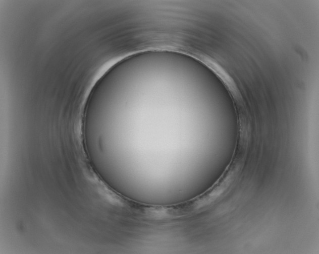 X0000110980956200907022053