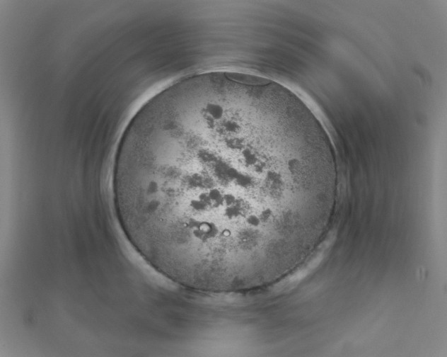 X0000110980957200907022053