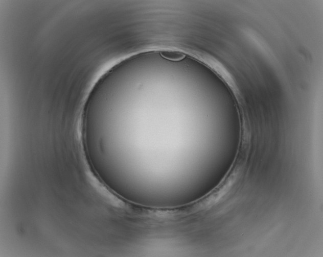 X0000110980958200907022053