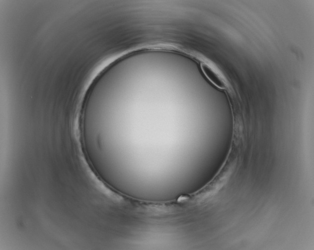 X0000110980959200907022053