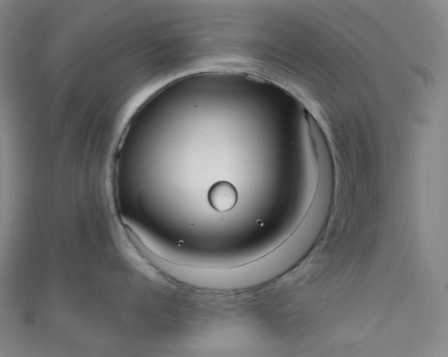 X0000110980960200907022053