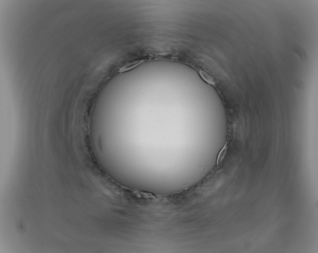 X0000110980961200907022052