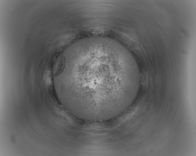 X0000110980962200907022052