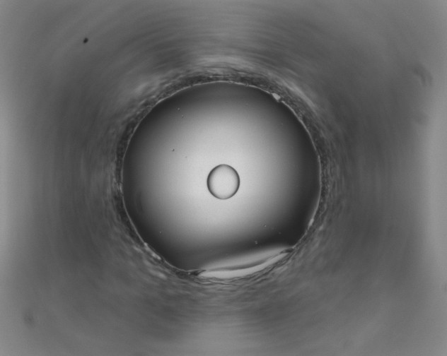 X0000110980965200907022052