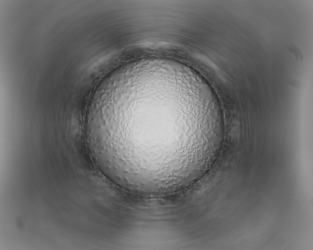 X0000110980966200907022052