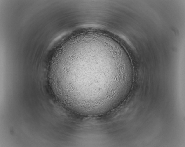 X0000110980967200907022052