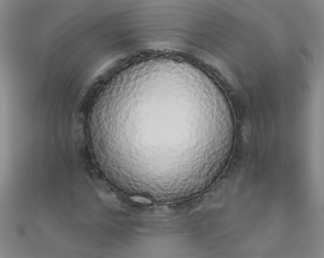 X0000110980968200907022052