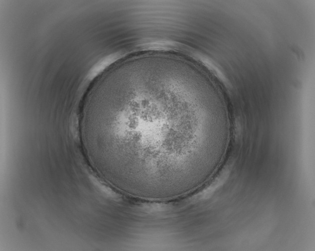 X0000110980970200907022052