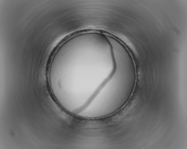 X0000110980972200907022052