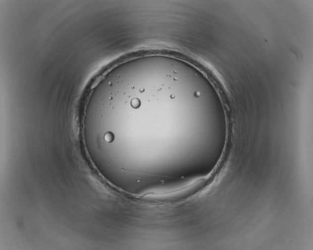 X0000110980973200907022052