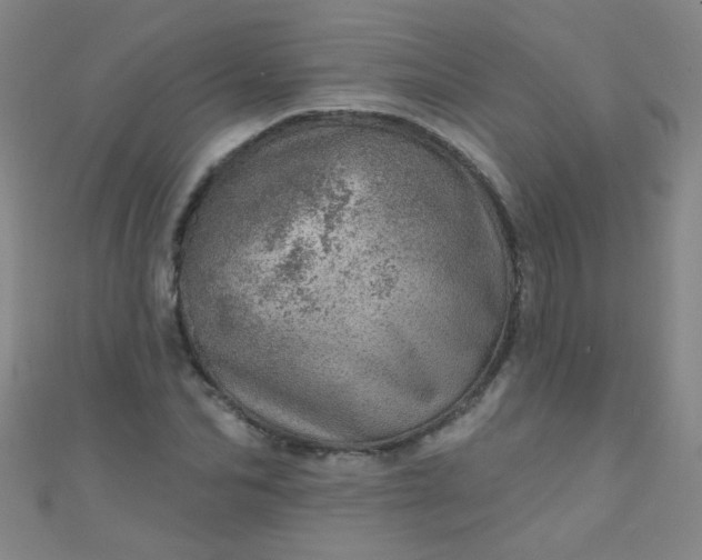 X0000110980974200907022052