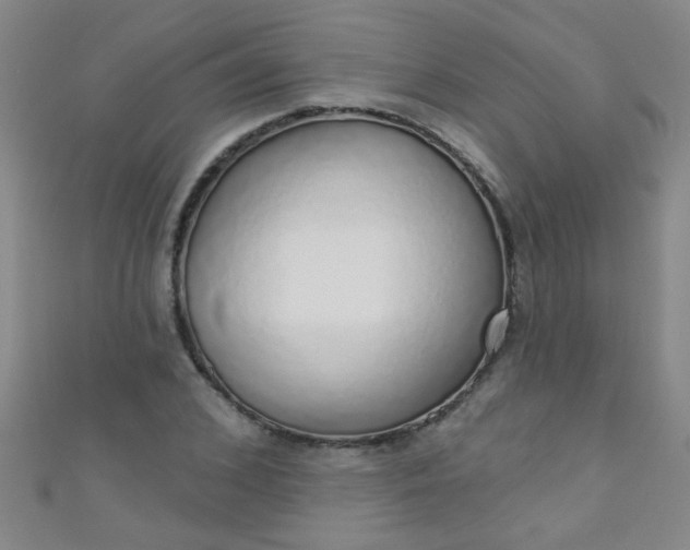 X0000110980976200907022052