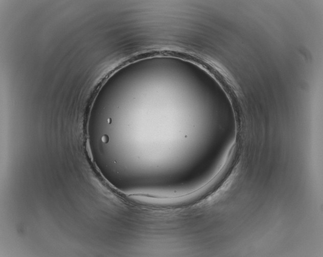 X0000110980977200907022052