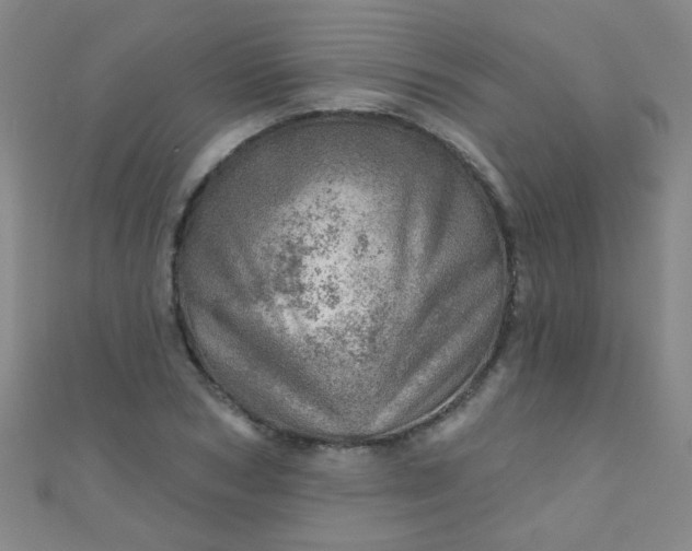 X0000110980978200907022052