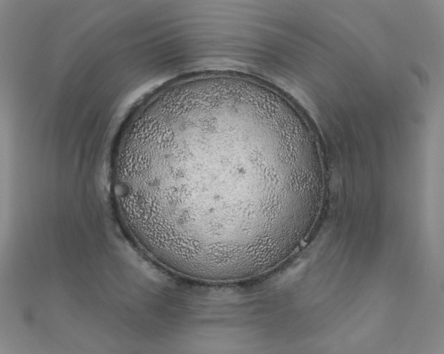 X0000110980979200907022052