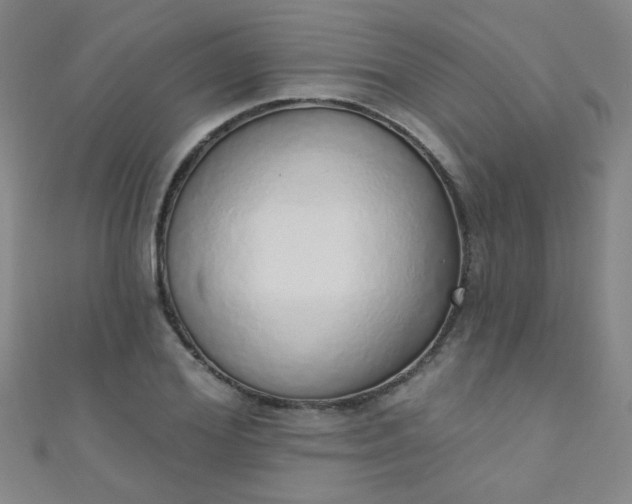 X0000110980980200907022052