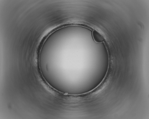 X0000110980981200907022052