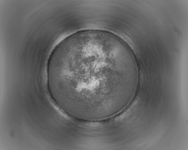 X0000110980982200907022052