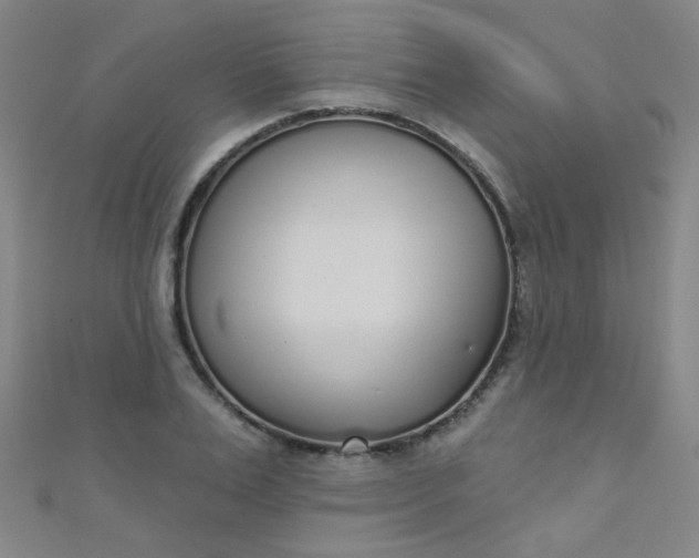 X0000110980983200907022052